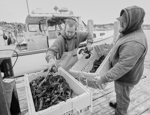 Fishing industry charting new course after Trump’s push for deregulation