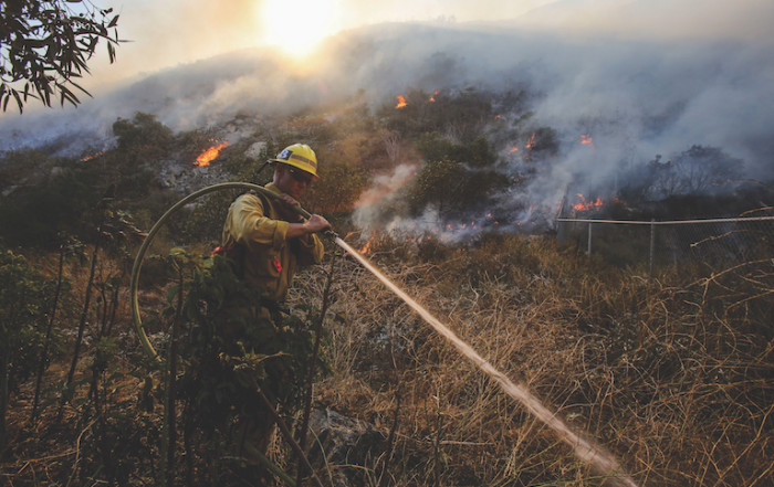 Wildfire programs
