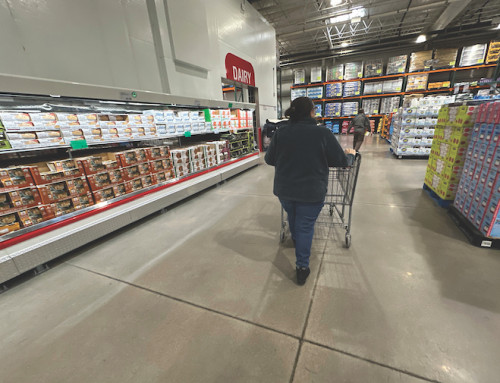 Economy shrank 0.5 percent between January and March