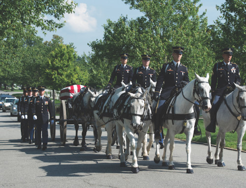 Army moves toward discontinuing most ceremonial horse programs