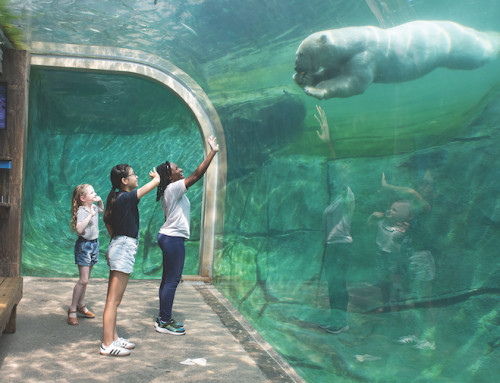 Ohio tourism industry’s economic impact grew to $57B last year