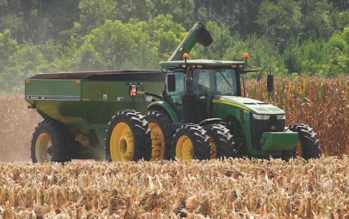 Corn Harvest