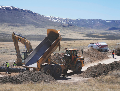 Government may take stake in lithium-mine developer