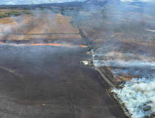 States sue to stop restrictions on FEMA grants